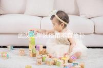 武漢江岸區疫苗本著急補辦快進來,證件齊全到手要不了多久