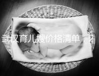 武漢育兒嫂價格清單,2024年橋口等正規(guī)機構(gòu)不要錯過