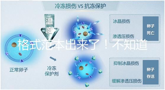 格式范本出來了！不知道出生證明遺失申請書怎么寫看這兒