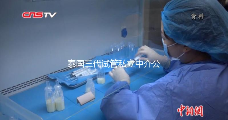 泰國三代試管私立中介公司推薦，排名一目了然，輕松選擇！