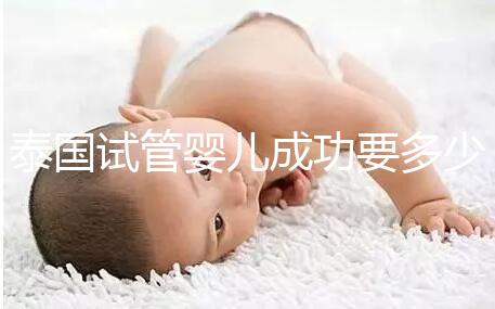 泰國試管嬰兒成功要多少錢？不成功怎么辦？