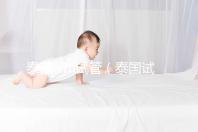 泰國ivm試管(泰國試管的)