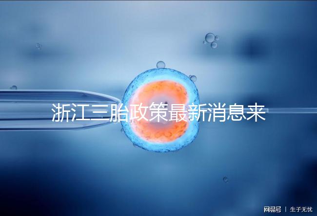 浙江三胎政策最新消息來襲,2024臺州有哪些補貼?