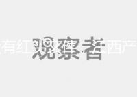 沒有紅頭文件,江西產(chǎn)假難以實施2024年新政策包括工資支付標準