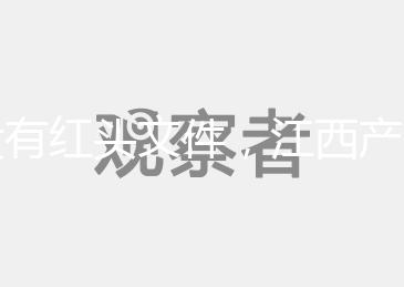 沒有紅頭文件,江西產(chǎn)假難以實施2024年新政策包括工資支付標準