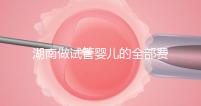 湖南做試管嬰兒的全部費(fèi)用大概是多少錢(qián)?附湖南試管嬰兒醫(yī)院排名一覽!