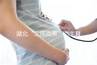 湖北“二孩政策”引生育熱潮 試管嬰兒費用及成功率受關注