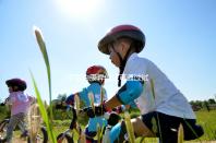 子宮內膜異位癥可通過試管嬰兒技術,解決不孕難題