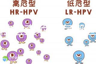 孕前檢查項(xiàng)目有哪些？