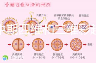 孕中期四維和三維彩超檢查區(qū)別真不小,看完便知誰更好