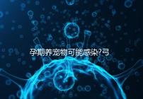 孕期養寵物可能感染?弓形蟲病的傳播途徑主要有這些