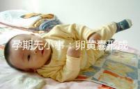 孕期無小事:卵黃囊形成到胎芽出現時間早了解早放心