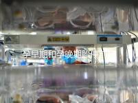 孕早期和孕晚期胎停前其實都有暗示信號，身體不會騙人