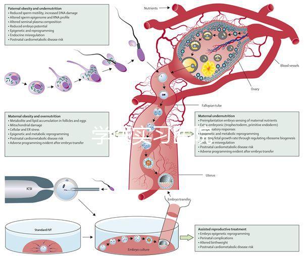 學(xué)醫(yī)實(shí)習(xí)醫(yī)院