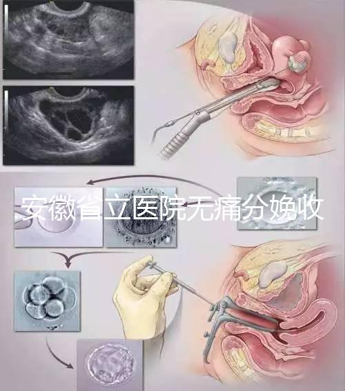 安徽省立醫(yī)院無痛分娩收費標(biāo)準(zhǔn),過來人經(jīng)歷告訴你怎么樣