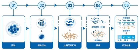 安徽地中海貧血多不多戳，合肥比例低也要早發現早治療