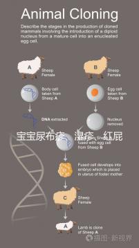 寶寶尿布疹、濕疹、紅屁股傻傻分不清?4點區(qū)別輕松診斷