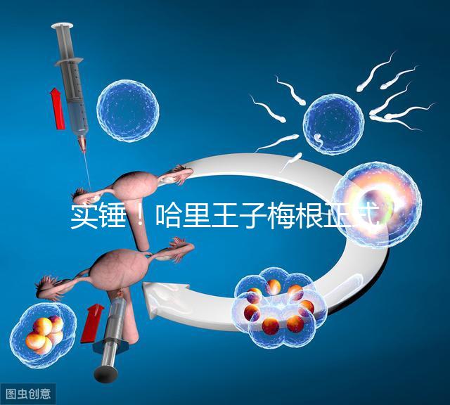 實(shí)錘！哈里王子梅根正式公布寶寶名字：阿爾奇·哈里森