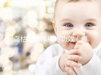 夏枯草的作用與功效(夏枯草的作用與功效主治)