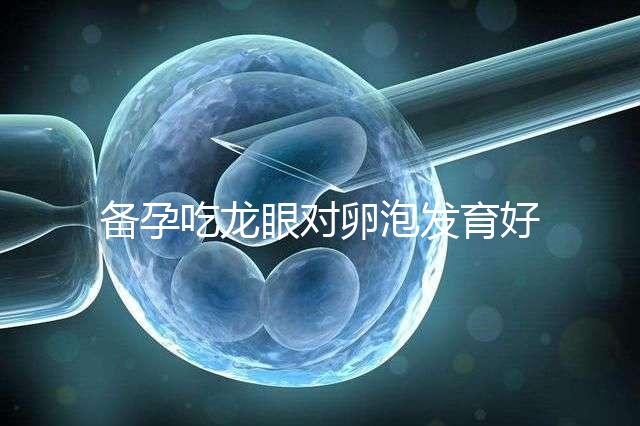 備孕吃龍眼對卵泡發育好處多，前提：發芽禁止食用