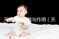 天竺黃的功效與作用(天竺黃為什么是禁藥)