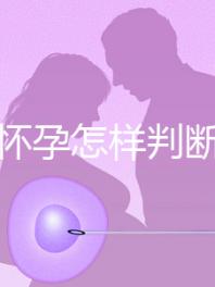 女性懷孕怎樣判斷出來