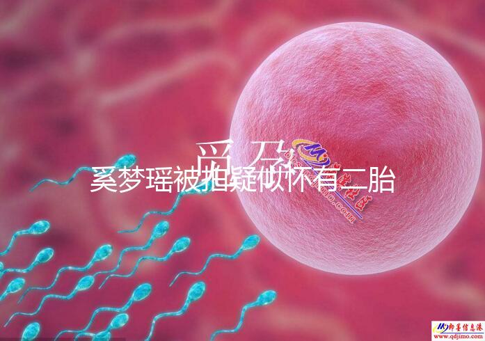 奚夢瑤被拍疑似懷有二胎，四太陪同產檢未見何猷君