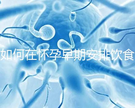 如何在懷孕早期安排飲食?