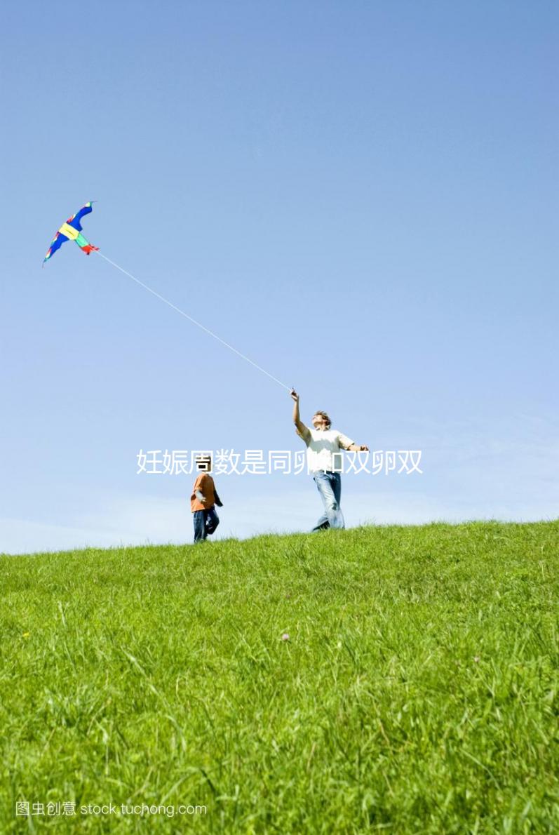 妊娠周數(shù)是同卵和雙卵雙胎減胎成功率的關(guān)鍵影響