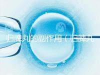 歸脾丸的副作用(歸脾丸的副作用有哪些)