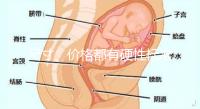 尺寸、價格都有硬性標準，選擇雙胞胎嬰兒床決不可大意！