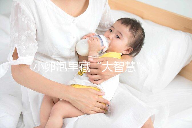 小卵泡里藏“大智慧”！這些冷知識也該知道了