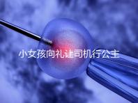 小女孩向禮讓司機(jī)行公主禮,這家庭教育得到網(wǎng)友們認(rèn)可