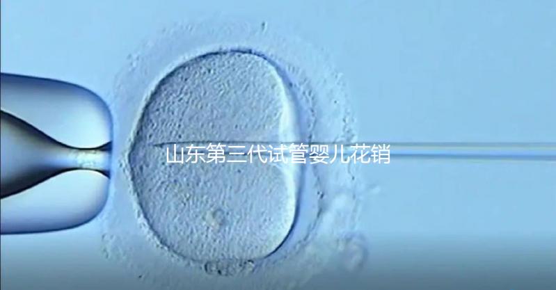 山東第三代試管嬰兒花銷全解析：詳細(xì)價(jià)格一覽，輕松做好預(yù)算準(zhǔn)備
