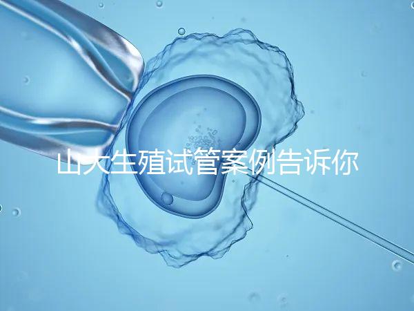 山大生殖試管案例告訴你,歷經(jīng)3個(gè)月后懷孕辛酸史