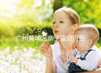 廣州黃埔區(qū)親子鑒定可否直接上戶(hù)口,看完2024政策就明了