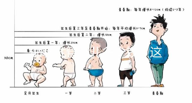 邯鄲試管嬰兒多少錢?這些醫(yī)院都能做成功率還不低!