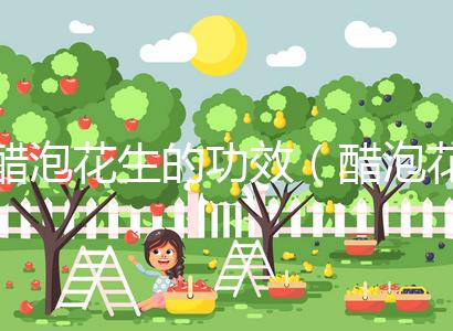 醋泡花生的功效（醋泡花生的功效與作用）