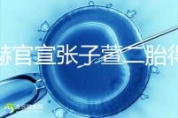 陳赫官宣張子萱二胎得女，首曬全家福長相酷似媽媽