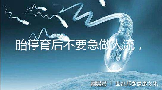 胎停育后不要急做人流,這五項(xiàng)必查項(xiàng)目一定要先做