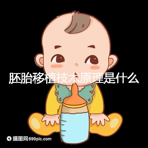 胚胎移植技術(shù)原理是什么?