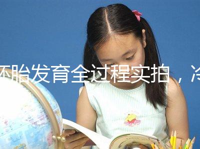 胚胎發育全過程實拍,冷凍胚胎移植后著床圖解(視頻)