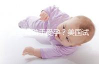 菠蘿有助于受孕？美國試管嬰兒移植后的5個冷知識都看看