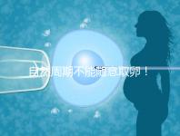 自然周期不能隨意取卵!滿足3點要求才能順利進行