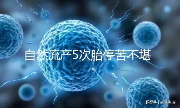 自然流產5次胎停苦不堪言, 試管嬰兒助孕一朝分娩喜之不盡!