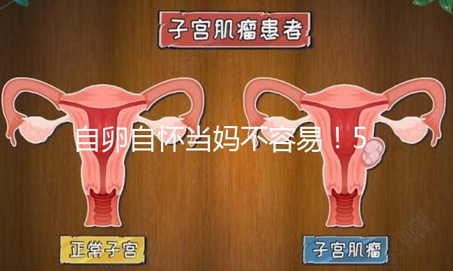 自卵自懷當媽不容易！53歲做試管嬰兒這個案例真勵志