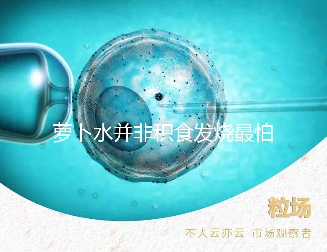 蘿卜水并非積食發燒最怕的1種水，天天煮這些喝胃口倍棒