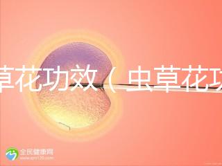 蟲草花功效(蟲草花功效作用與主治功能)