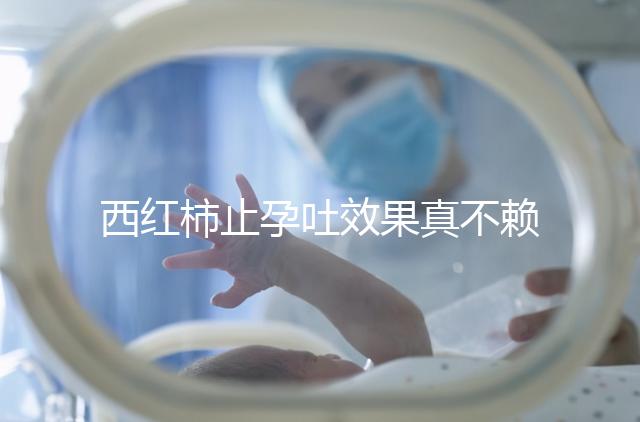 西紅柿止孕吐效果真不賴,選小的生吃或加雞蛋打湯都行