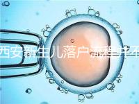 西安新生兒落戶流程并不難,內附各區(qū)辦理地址快人一步